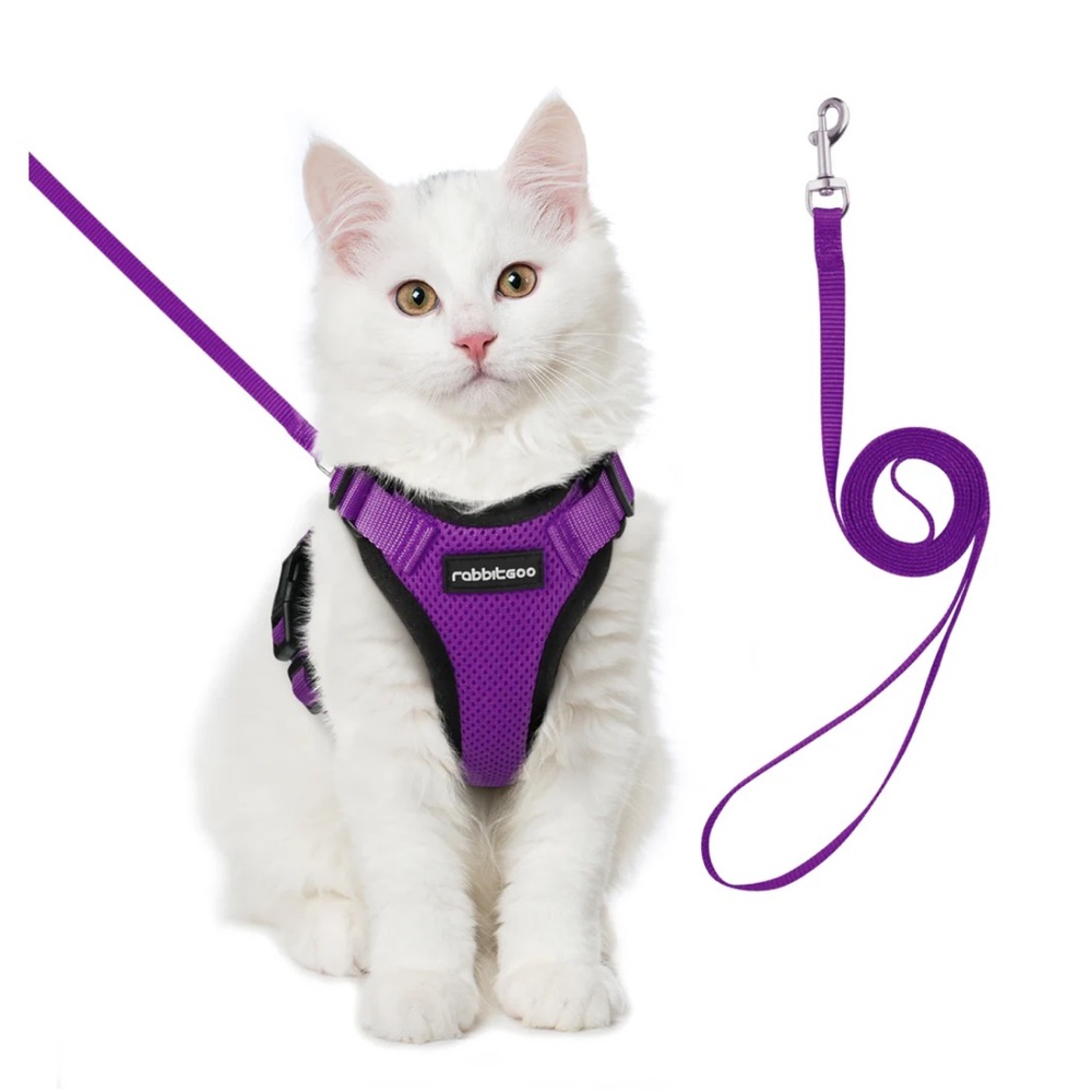 Rabbitgoo purple & black cat harness & leash, size XXS, NIB.
